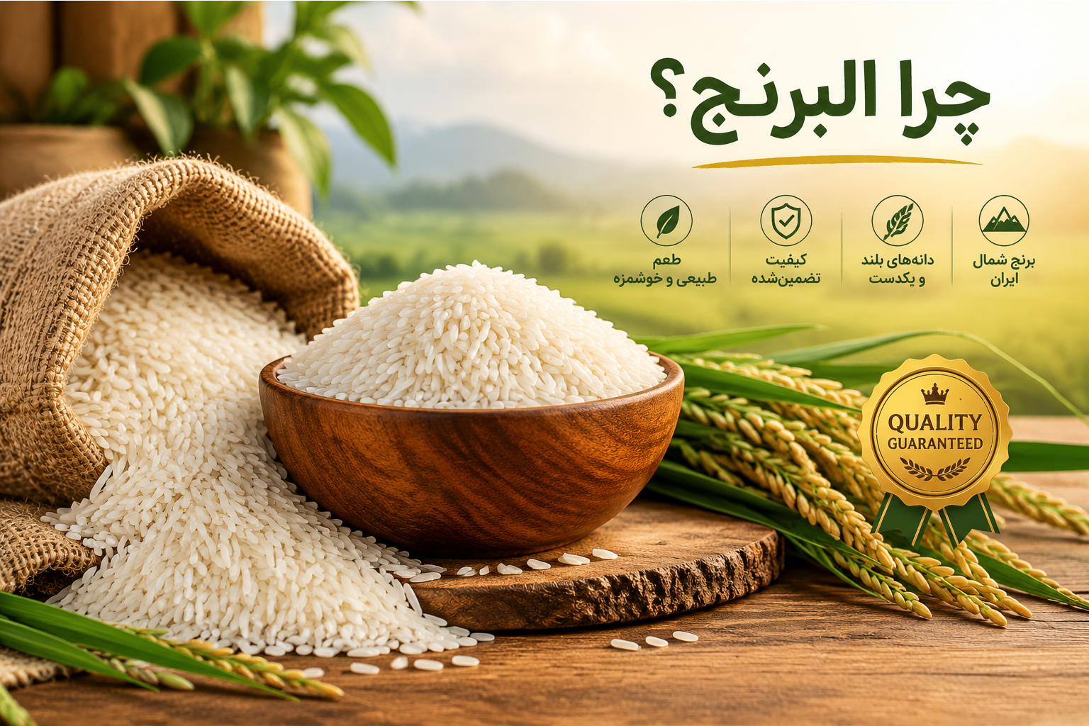 چرا «البرنج» انتخاب اول سفره‌های اصیل ایرانی است؟